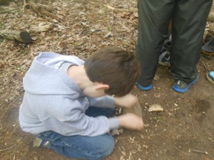 Photo Album