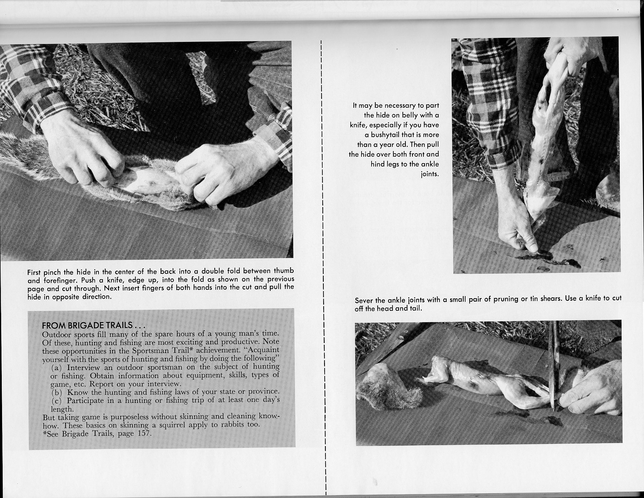 squirrel_cleaning2_venture10-1963