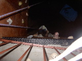 PDR_0128.JPG