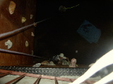 PDR_0129.JPG