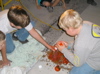 Stockade 9-27-2006 022
