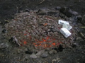 stock 2007 092