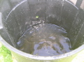 stock 2007 067