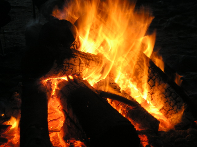 2006 pinewood derby_ Toronto_ Stockarama 095
